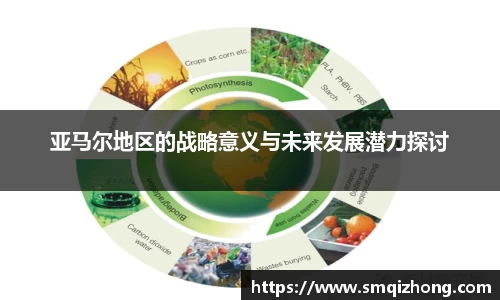 亚马尔地区的战略意义与未来发展潜力探讨