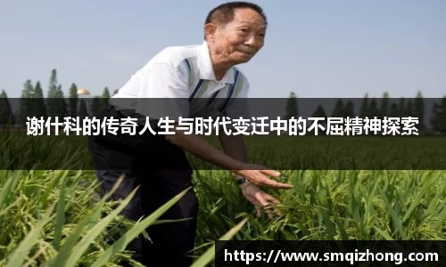 熊猫体育官网入口